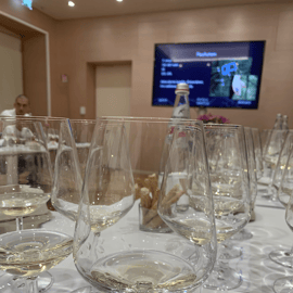Trieste: Private Wine Tasting Experience at Your Home
