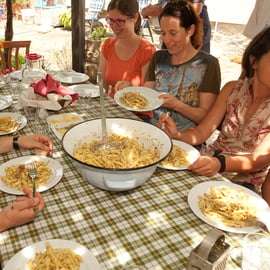 Istrie - Truffes : Chasse, cuisine et dégustation, Slovénie