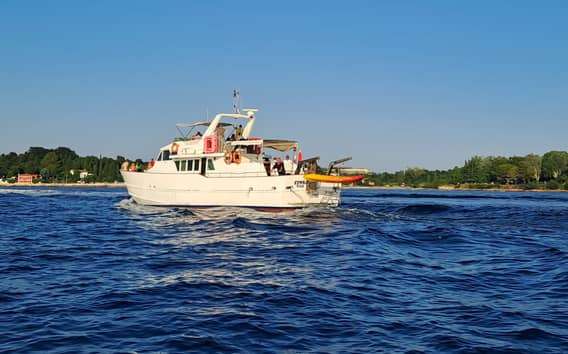 Umag: Sunset Cruise with Dolphin Spotting
