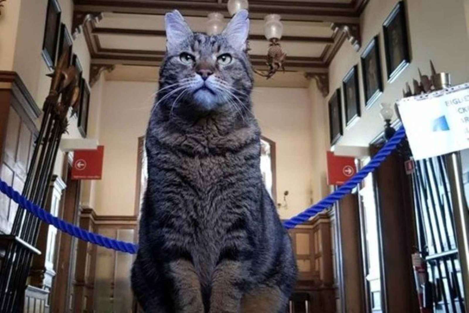 Trieste: Miramare Castle Family Tour with Max the Cat