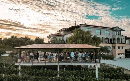 Istria's Queens: Wine, Oil & Truffle Tasting at Cattunar