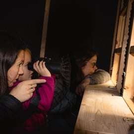 Postojna : excursion d'observation des ours avec un garde forestier et un guide local