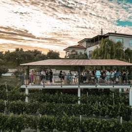 Istria: 4 Soils Malvazija Wine Tasting at Cattunar