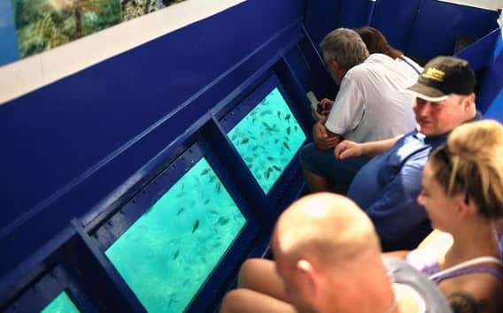 Istria: Aquavision Glassboat panoramic tour of Umag