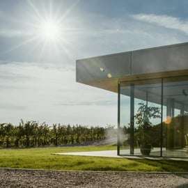 Vipava Valley: Lepa Vida Wine Tasting