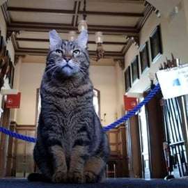 Trieste: Miramare Castle Family Tour with Max the Cat