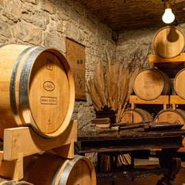 Buzet: Aura Family Distillery Tour with Tasting & Snacks