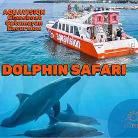Umag: Dolphin Watching Catamaran Cruise with Glass Bottom