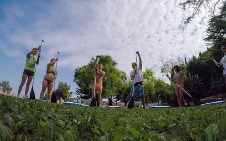 Stand up paddle course on the Slovenian coast