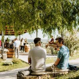 Istria: 4 Soils Malvazija Wine Tasting at Cattunar