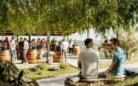 Istria: 4 Soils Malvazija Wine Tasting at Cattunar