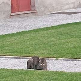 Trieste: Miramare Castle Family Tour with Max the Cat
