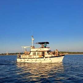 From Umag: Boat Tour to Savudrija with Swimming and Dolphins