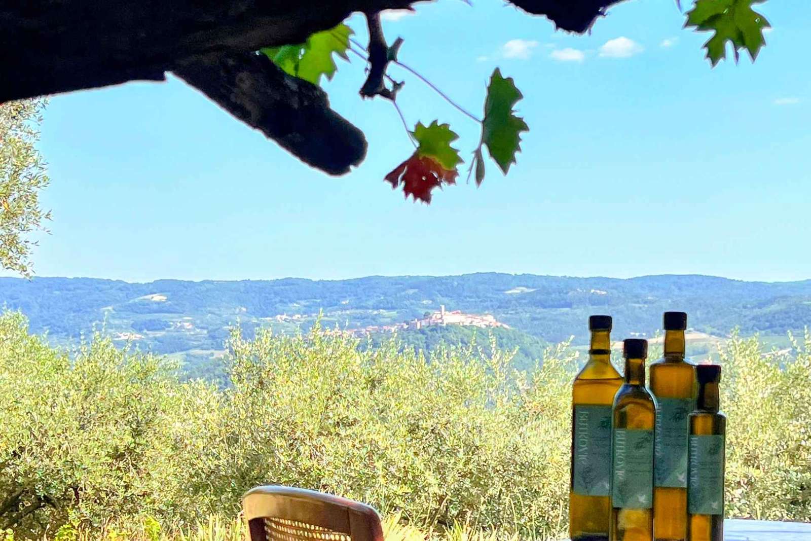 Northern Istria: Olive Oil Tasting with scenic landscape