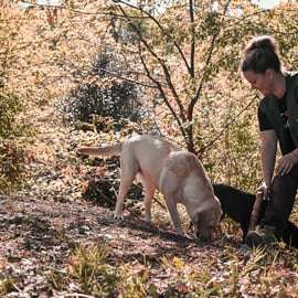 Paladini: Tour di Caccia al Tartufo con Menù Degustazione di 3 Portate