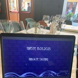Trieste: Private Wine Tasting Experience at Your Home