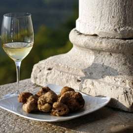 Trieste: Excursão "Sabores da Ístria" a Hum, Grožnjan e Motovun