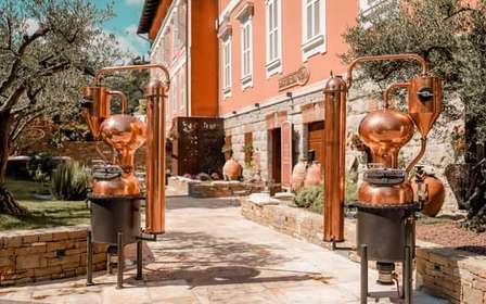 Buzet: Aura Family Distillery Tour with Tasting & Snacks