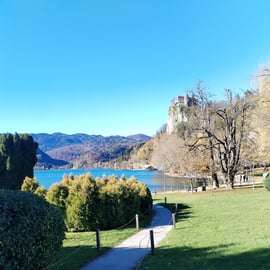 Vanuit Triëst: privé-dagtour naar het Meer van Bled en Radovljica