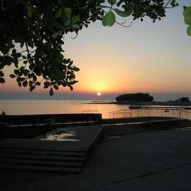 Trieste: dagtour Umag en Rovinj