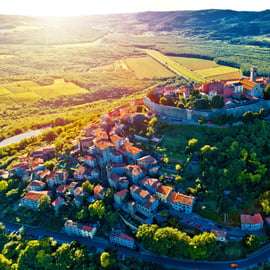 Motovun: The trail of Giants-wandeltocht & Fritule-proeverij
