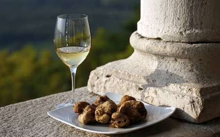 Trieste: Flavors of Istria Tour to Hum, Grožnjan, & Motovun