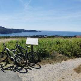 Piran: 5-rätters Boutique Food Tour med elcyklar