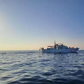 Umago: crociera al tramonto con avvistamento dei delfini