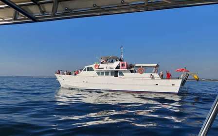 UMAG: Swimming&Panorama / Welcome Drink and Dolphin spotting