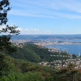 Visita panorámica de la ciudad de Trieste y del Castillo de Miramare