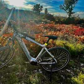 Divača: Škocjan Caves E-Bike Rental from Divača