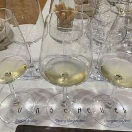 Trieste: Private Wine Tasting Experience at Your Home