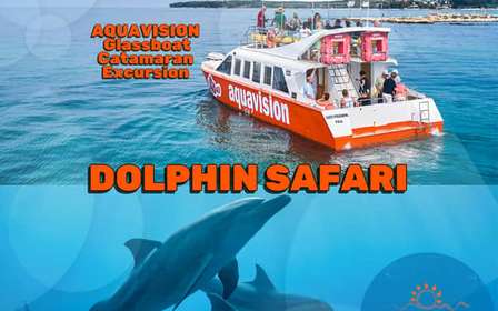 Umag: Dolphin Watching Catamaran Cruise with Glass Bottom