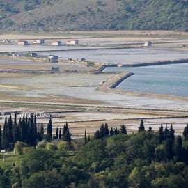 Pirano panoramico e saline: E-Bike Boutique Tour