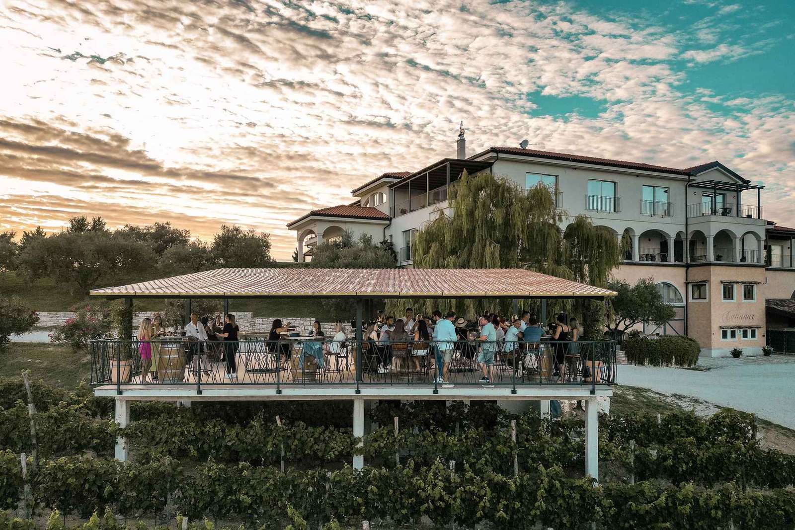 Istria's Queens: Wine, Oil & Truffle Tasting at Cattunar