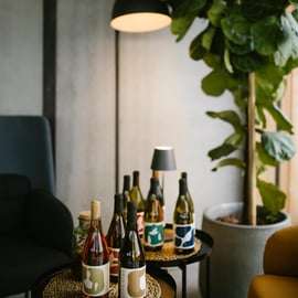 Vipava Valley: Lepa Vida Wine Tasting
