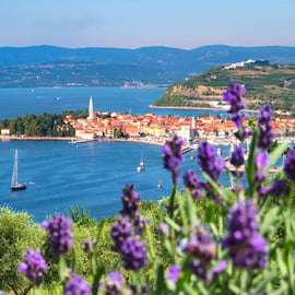Izola: experiencia única de navegación a lo largo de la costa eslovena