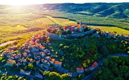 Motovun: The trail of Giants hiking tour & Fritule Tasting