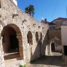 Motovun: The trail of Giants-wandeltocht & Fritule-proeverij