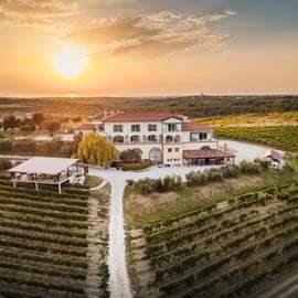 Istria's Queens: Wine, Oil & Truffle Tasting at Cattunar