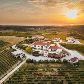 Istria: 4 Soils Malvazija Wine Tasting at Cattunar