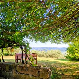 Northern Istria: Olive Oil Tasting with scenic landscape