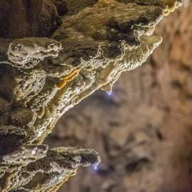 Sgonico (Trieste): Grotta Gigante Guided Tour & Museum Entry