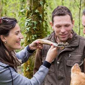 Livade: Guided Truffle Hunting Walking Tour