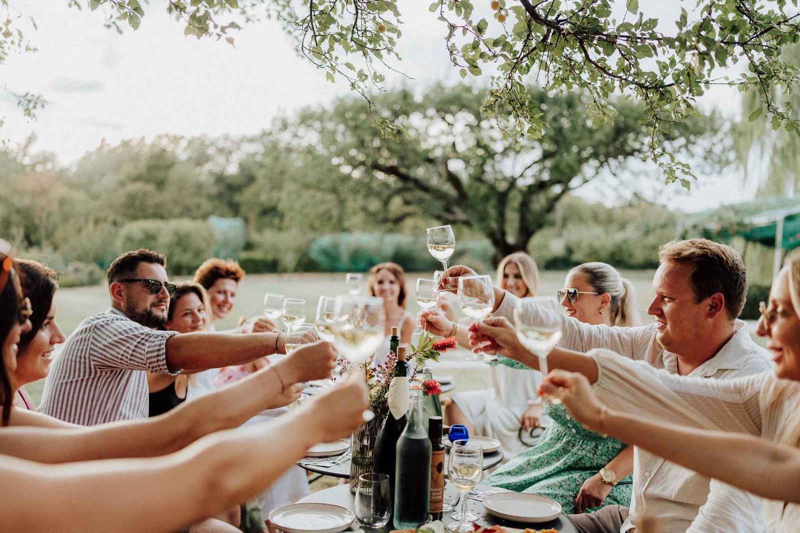 Buje: Quinta familiar da Ístria com passeio a pé, comida e vinho