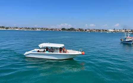 Umag: Snorkeling & dolphinwatching morning boat tour