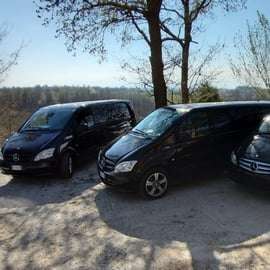 Venice, Square Rome : 1-Way Transfer To Trieste Port or City