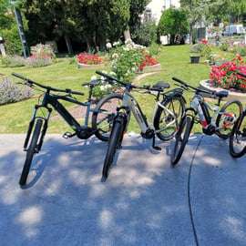 Pirano: e-bike&burger in Istria