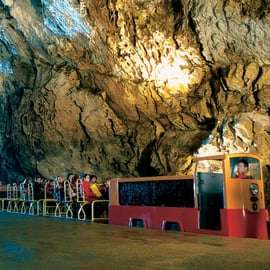 Depuis Trieste : Grotte de Postojna et château de Predjama