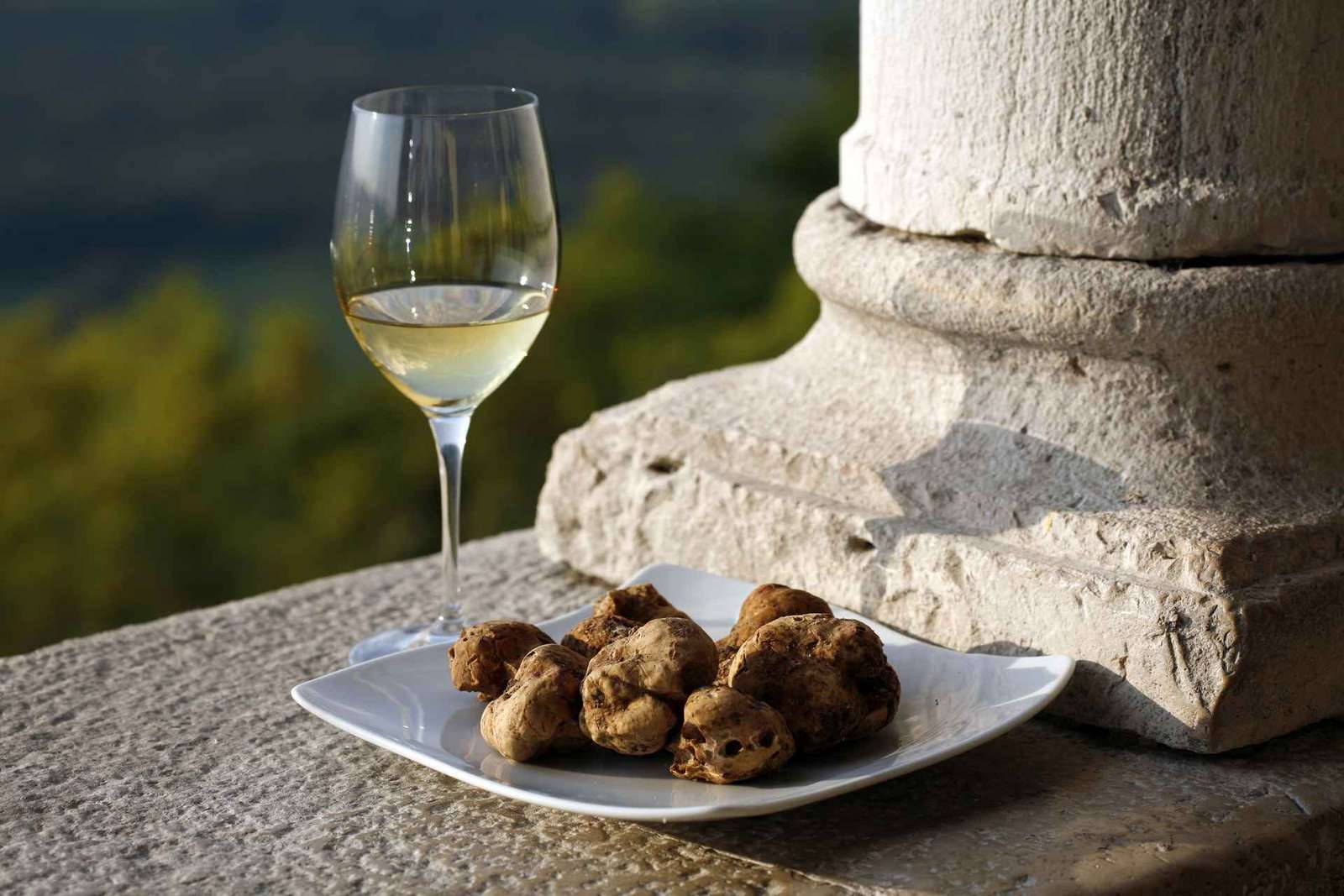 Trieste: Excursão "Sabores da Ístria" a Hum, Grožnjan e Motovun